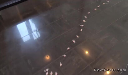 Adorable amateur young babe with juicy round ass gives head and gets doggy styled hard