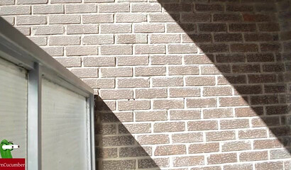 Curvy teenie with amazing big ass got her booty eaten out by horny pervert outdoors