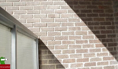 Curvy teenie with amazing big ass got her booty eaten out by horny pervert outdoors