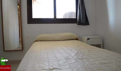 Fat ass girlfriend loves nothing more but to suck his enormous cock and licks his balls