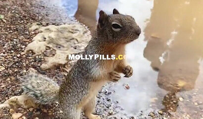 Amateur slut with natural tits gets creampied outdoors