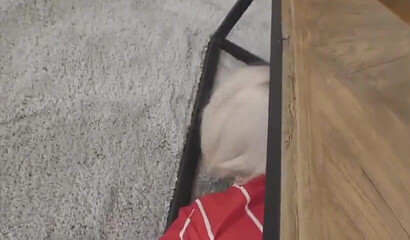 Cougar blonde gets a fat cock while stuck