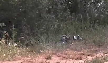 Chubby mom gets fisted outdoors