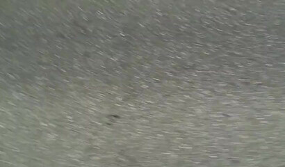 Perfect blonde teen I saw in the train today