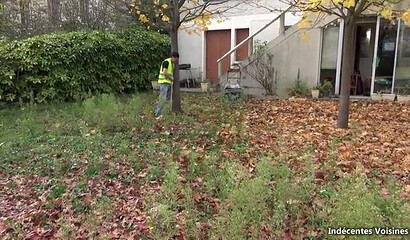 Big ass French cougar finds a young man to suck his throbbing cock and destroyed her rectum