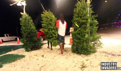 Big butt ebony chick sucking stiff black dick instead of paying for the Christmas tree