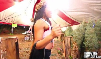Big butt ebony chick sucking stiff black dick instead of paying for the Christmas tree