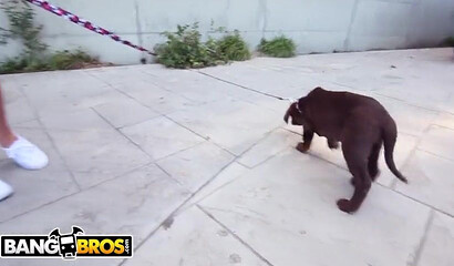 PAWG brunette Abella Danger gets rammed by huge black cock