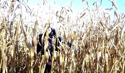 Emo slut in black stockings dildoing her cock hungry vagina outdoors