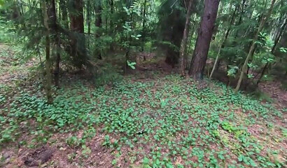 Cute ginger gives public head and enjoys POV sex