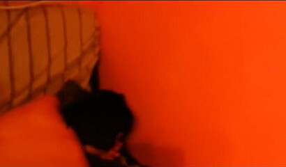 Amateur vixen gets her slutty mouth and pussy dicked doggystyle