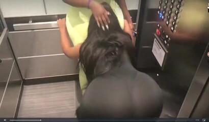 Wild compilation with the dirtiest sluts going crazy